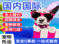 张掖甘州空运代理国际宠物托运 【国